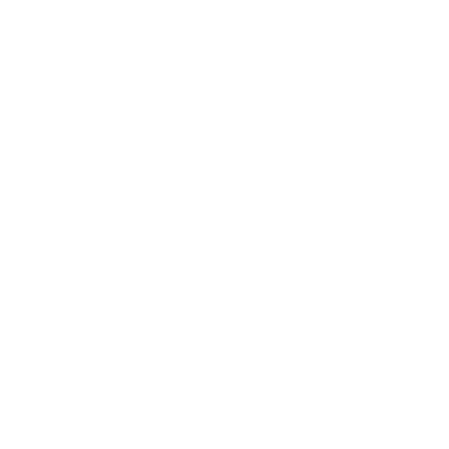 She Sells Boise Logo